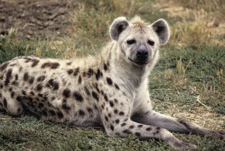 Зұлым періште бейне Француз порно видео порно
