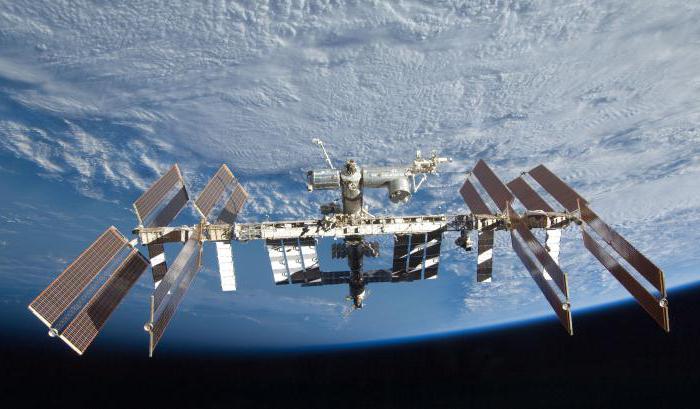 Гей сперматозоидтарын жинаушы