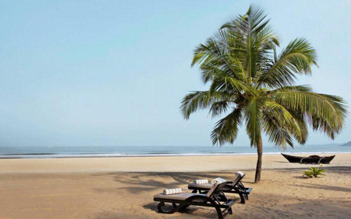 Nemis porno filmlar nomlari