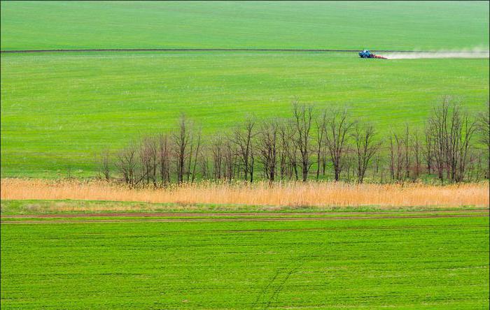 Итальяндық порно Эрика Белла