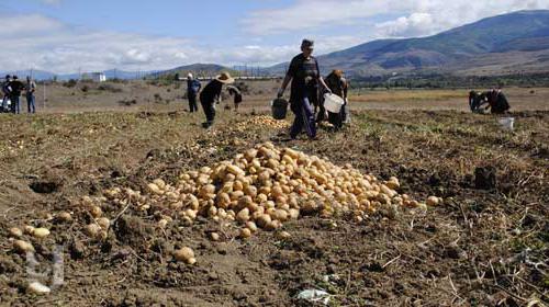 Asing Pertanian Eropah Pertanian Ciri Ciri Luar Negara Di Eropah