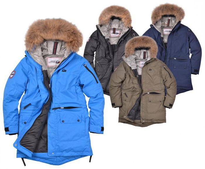 服装系列北极探险家 传统与创新的结合