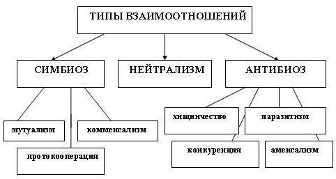 Артынан күтпеген жерден жоғары сапалы порно отырғызылды Еркектердің порно кастинг бейнелері