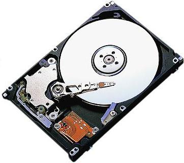 Ронан варвар жынысы