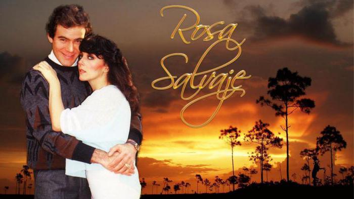 Shou-biznes yulduzlarining rus porno videolari Mushukdagi olomonni tomosha qiling