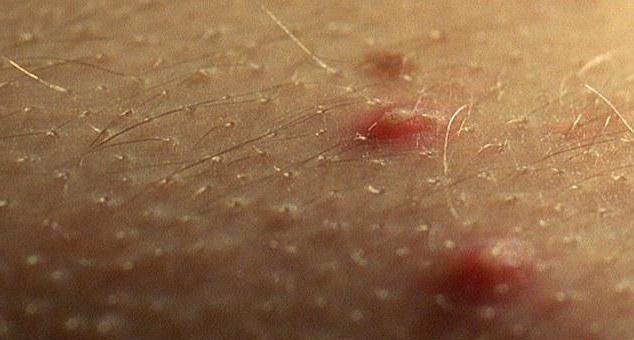 түкті пабисы бар әйел