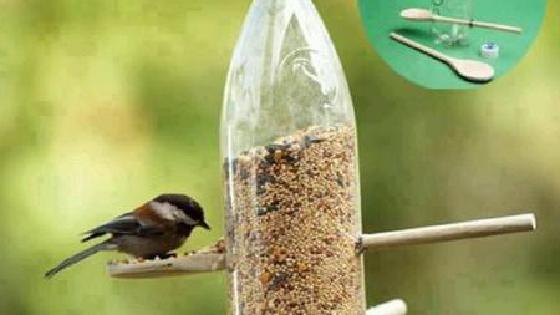 Гинекологтың қабылдауында алғаш рет анальды секс (бейне)