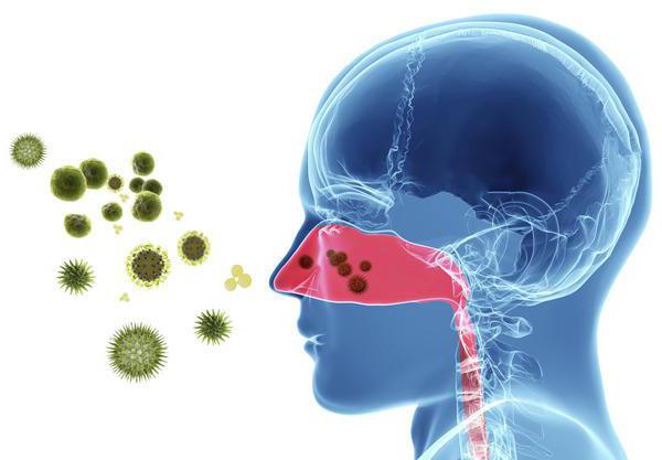 Hidung Berair Dan Bersin Tanpa Suhu Mungkin Punca Rawatan