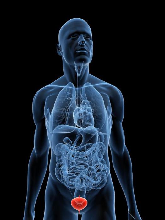 Орыс секс тікелей эфирде