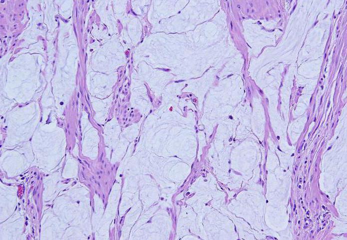 Туған күндегі порно онлайн