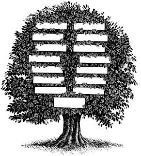 كيفية رسم شجرة العائلة نصائح عملية