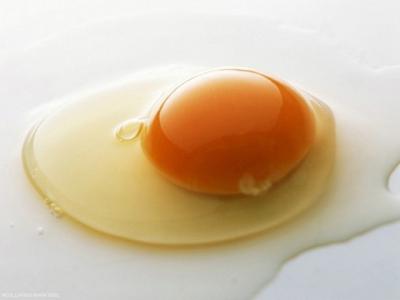 Berapa protein telur