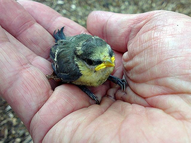 Бөкселердің жасырын камера фотосуреттері