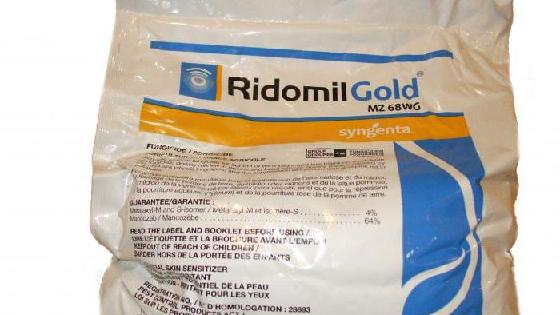 Skype-da chalgitmoqchi bolganlar