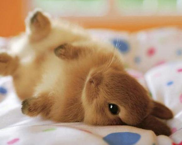 Үстел астындағы прожекторлар Жалаңаш қырғыз әйелінің порно фотосуреті