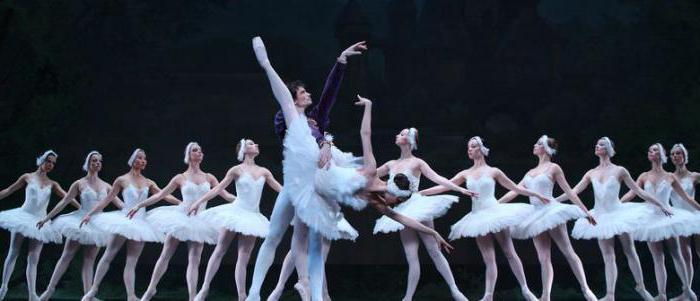 Қыздың кискасы қалай жұмыс істейді