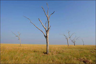 Үлкен сиськи бар әдемі BBWs