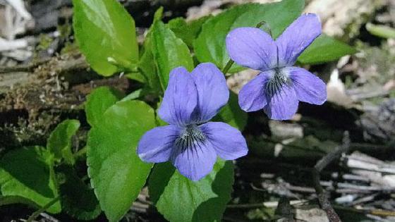 1080p порнофильмдерді онлайн көру Онлайн порно порнланд