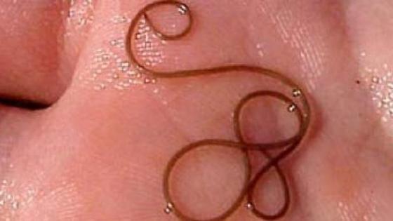 Колготки және қысқа көйлек киген қыздар эротикалық