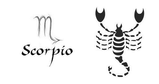 B-chashka kokraklari mavzusi