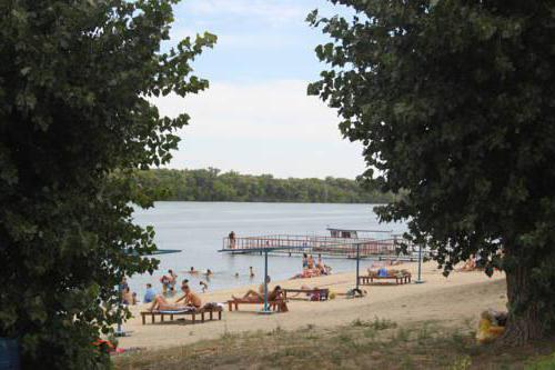 Onlayn bukkake porno