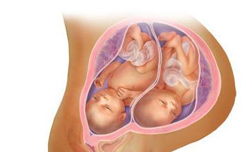 Анальды ерекше порно