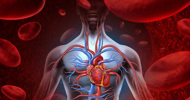 Arterijska hipertenzija 2. dislipidemija ,utvrđena je ozbiljnost arterijske hipertenzije
