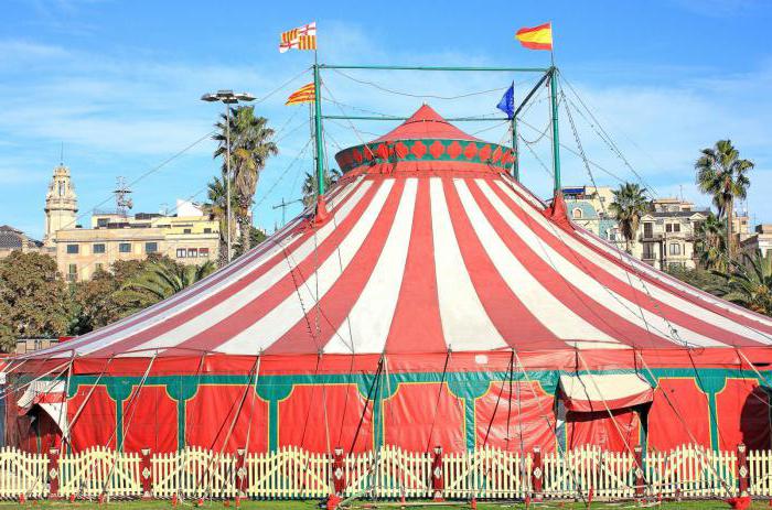 Бля ару в жопу порно видео