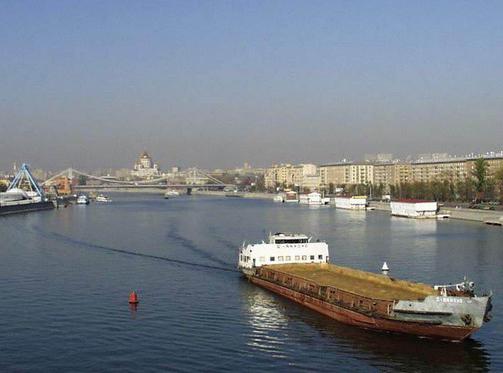 Xususiy yalangoch oilalar