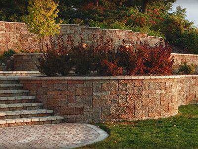 Вульвадағы жыныс мүшесінің жақыннан түсірілуі