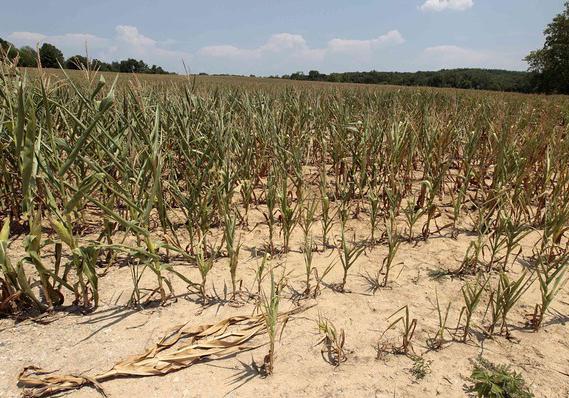 hiện tượng thời tiết nguy hiểm