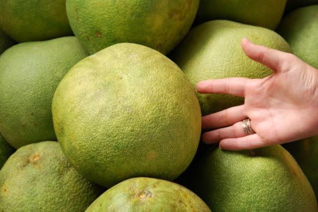 Pomelo Kehamilan Bahaya Atau Faedah