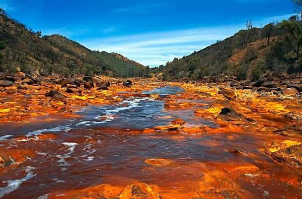 Порно балапандар жігітті ұстап алды