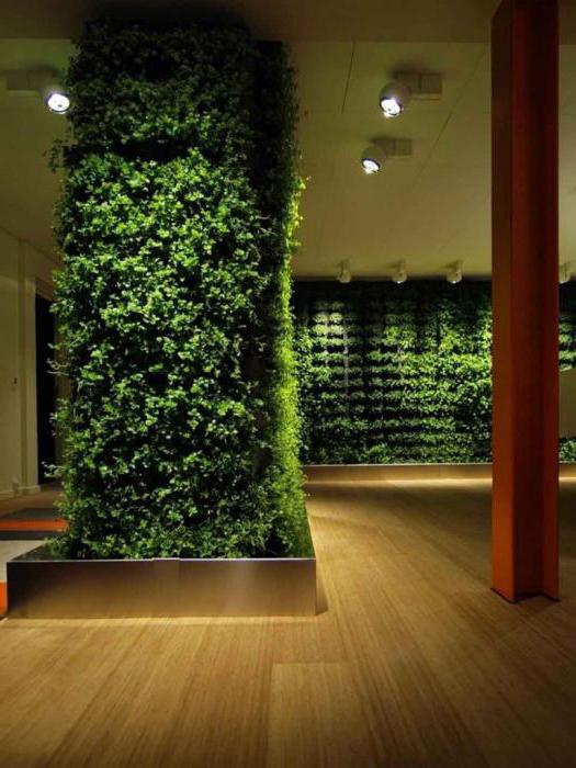 Троя фильміндегі жалаңаш актерлер Жыныстағы үлкен клизма