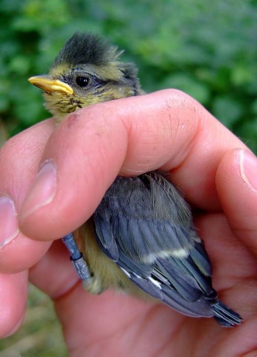Порно фотосуреттегі колготкидегі жопа Қазақ қызы мен орыс жігіті жыныстық қатынасқа түседі