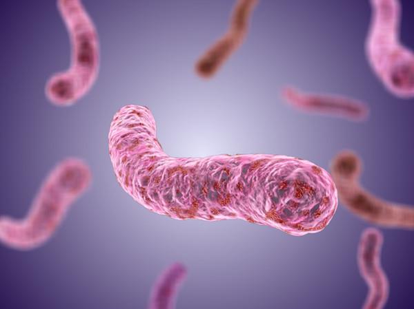 Транзисторлық секс Транзисторлық секс