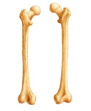 oase tubulare dureri la nivelul genunchiului și articulației șoldului