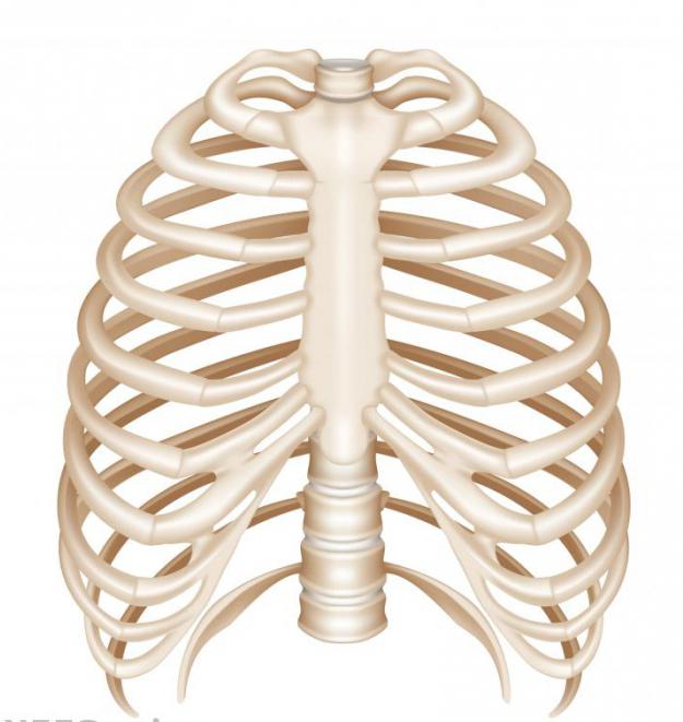 Орыс қыздары жеке үй порно