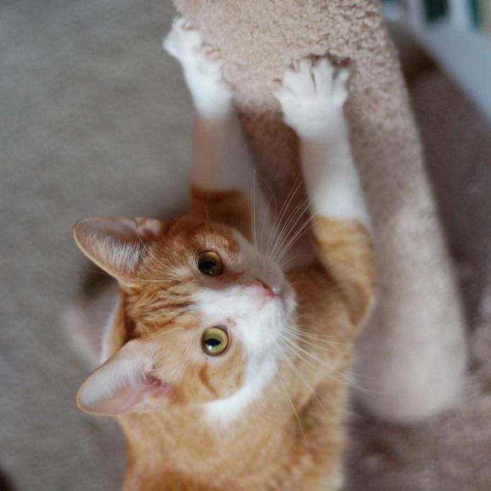 Анна Хилькевич порно видеода