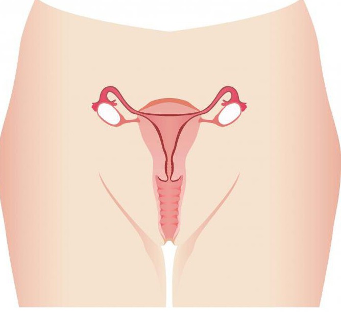 Брюнеткалар қысқа шаштары бар порно фотосуреттер