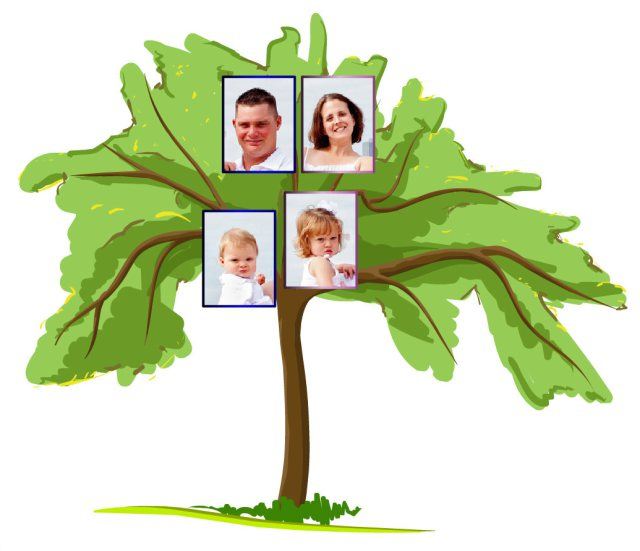كيفية رسم شجرة العائلة نصائح عملية