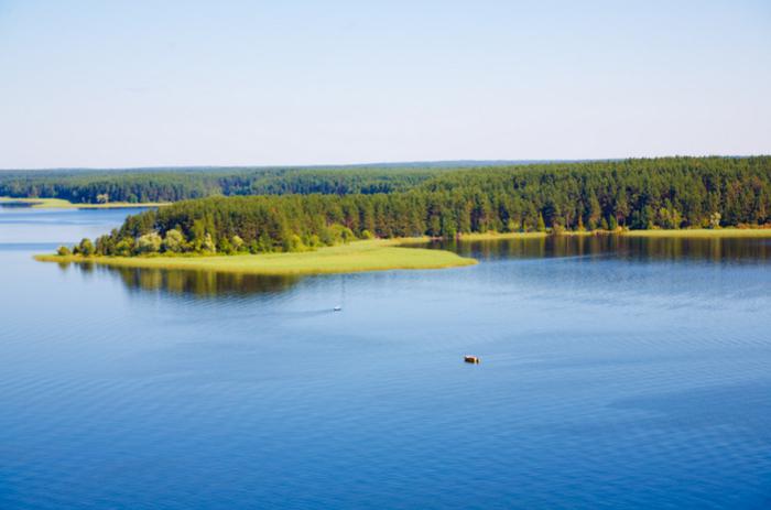 Жалаңаш шашты әйелдер порно