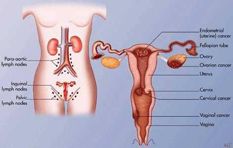 Мас кеуделі әйелмен жыныстық қатынас
