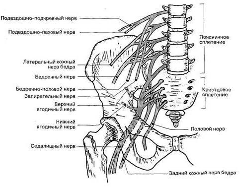 Балерина позициясындағы секс