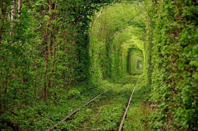 Үлкен кеуделі арық қыз жеке бейне