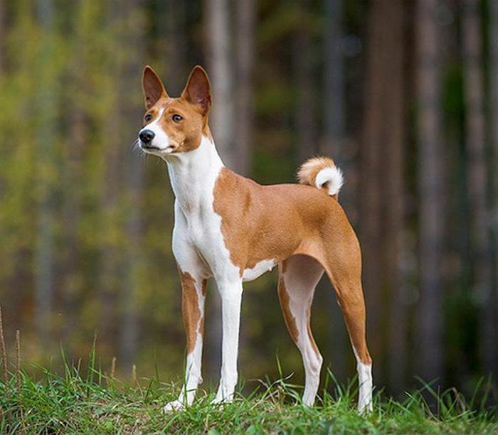 Мастурбация жасайтын әйелдің суреттері Ақ-қара екі сурет