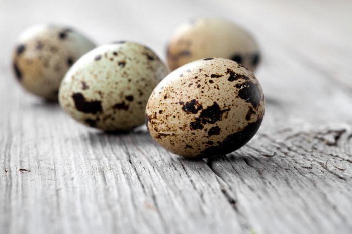 Желіде кәмелетке толмағандардың порно видеоларын қараңыз