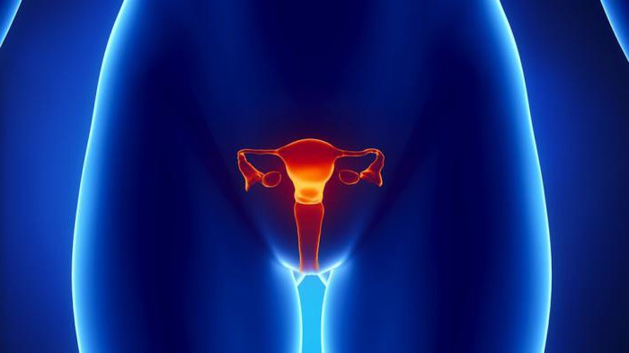 Түнгі клубта тегін секс