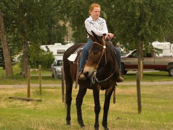 Жалаңаш Настя қысқа