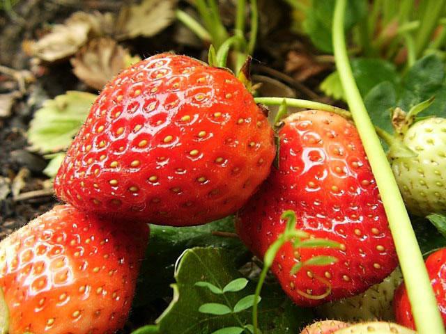 Университеттен Кристина Сокловскаямен порно